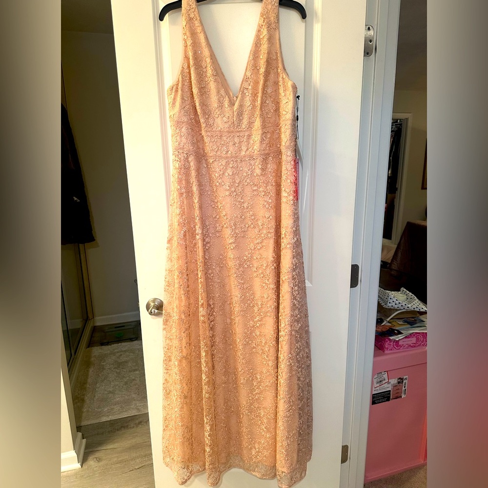 Beautiful, light pink Adriana Papell evening gown!